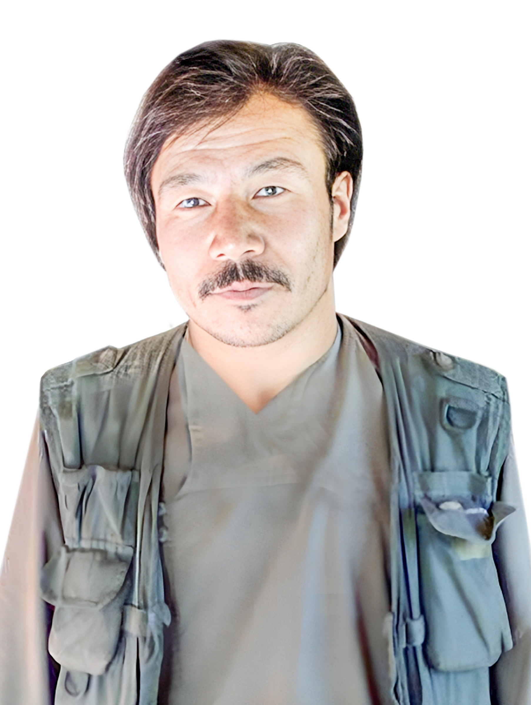 نظام محسنی