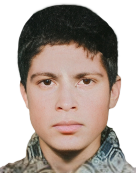 بهرام آربزافغانی