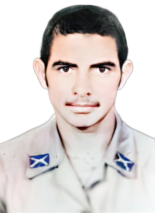 ناصر آربزافغانی