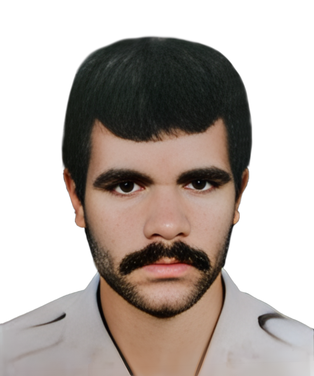 محمدرضا آرسون