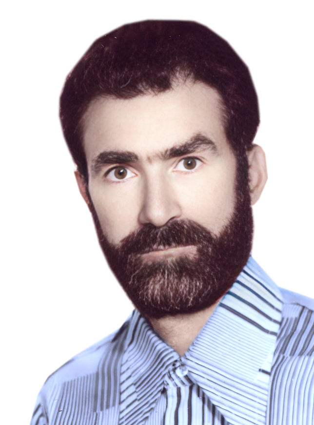 سیدعبدالوهاب آزادی همت