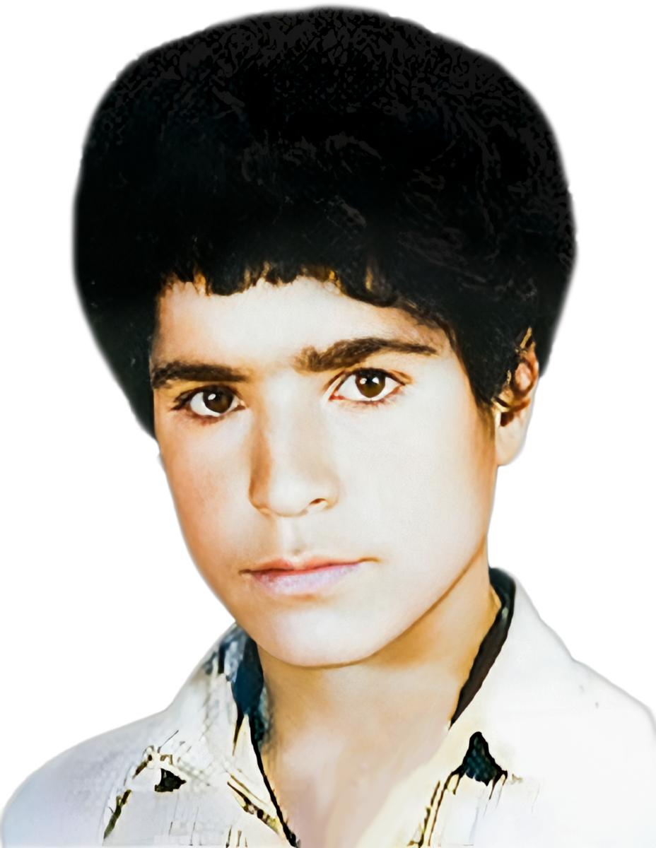 مرتضی آموزگاراربابی