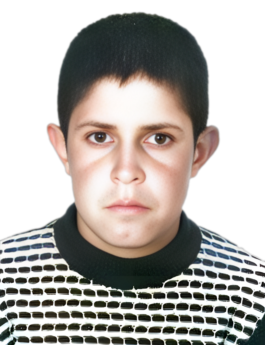 علی ابراهیمی