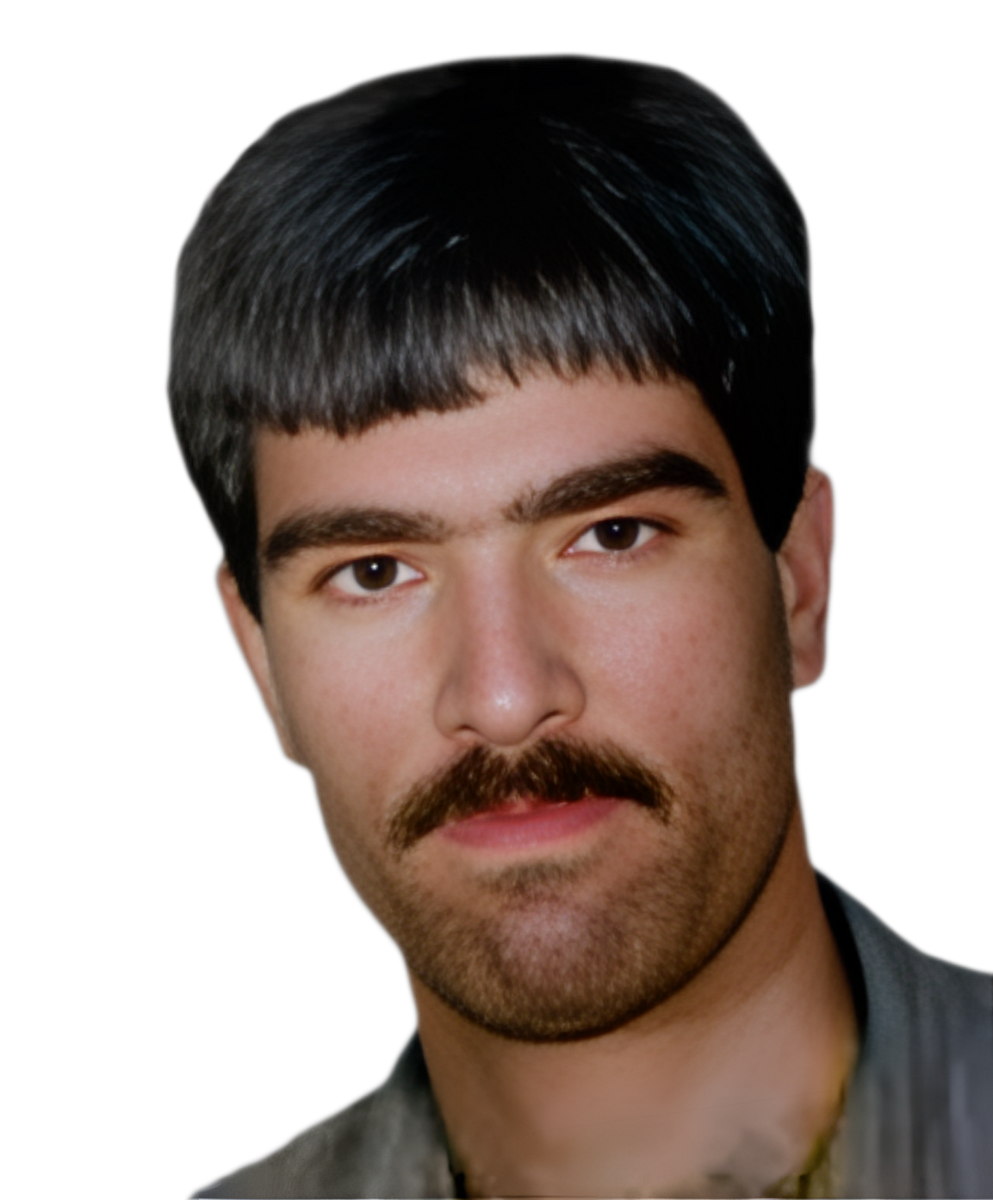 ناصر ابراهیمی