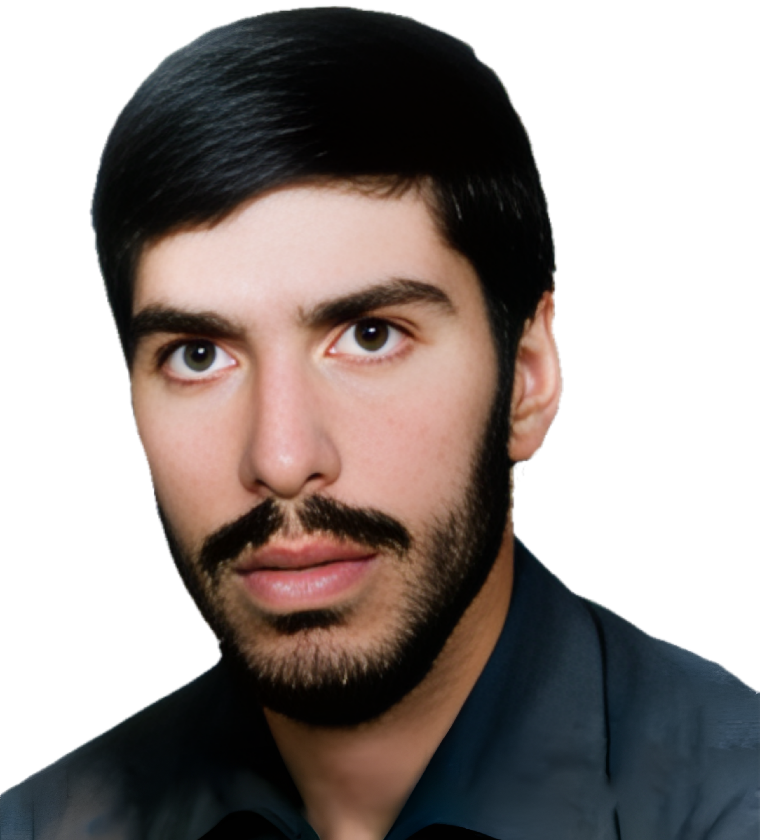 داود ابوالحسنی هنجنی