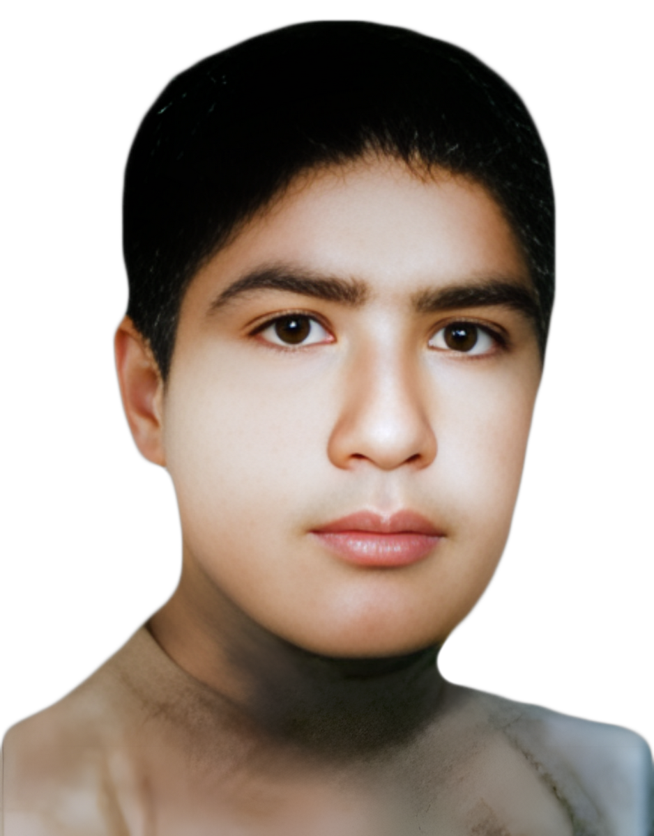 محمدحسین ابوالحسینی