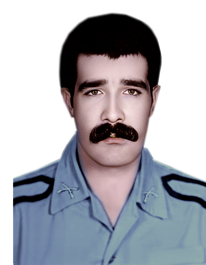 غلامرضا ابوالوردی