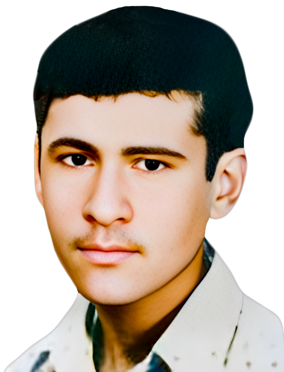 عبدالحمید ابولی