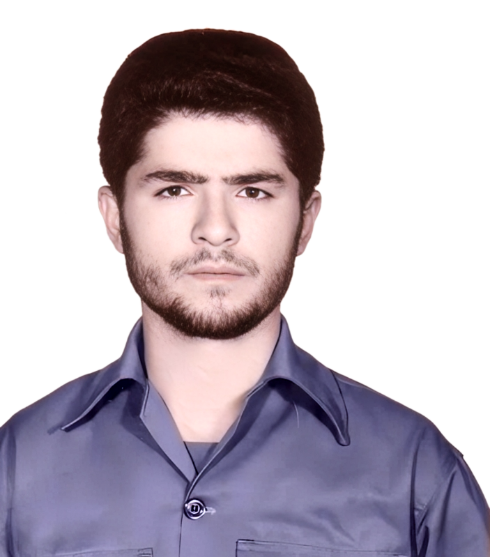 حمیدرضا ابوالوردی