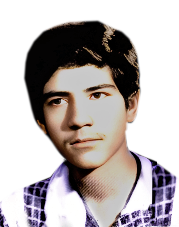 سیاوش احسانی