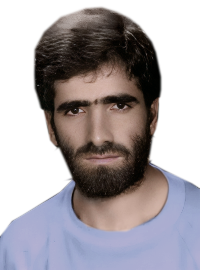 محمدهادی احمدی