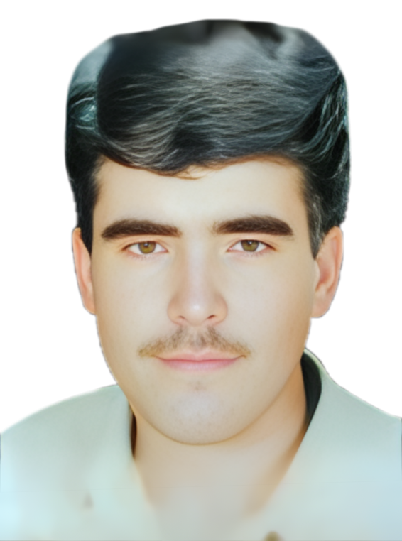 داود احمدی کشکولی