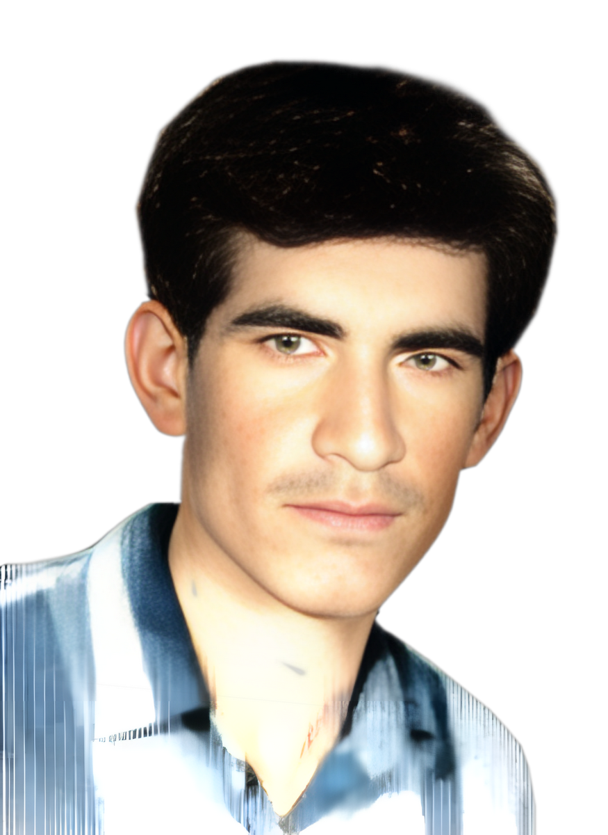 امیرحسین اسپرجانی