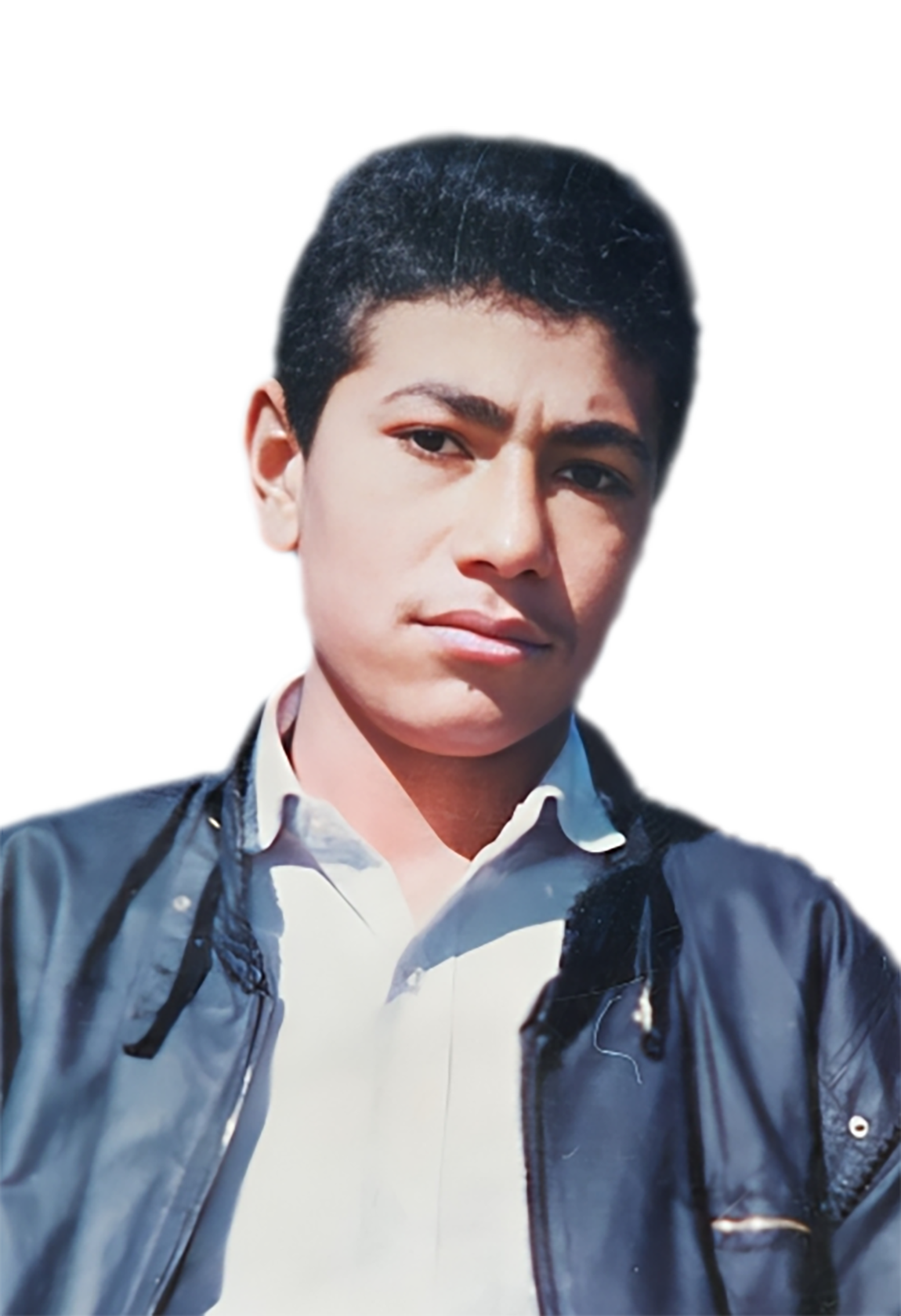محمدرضا اسفندياري
