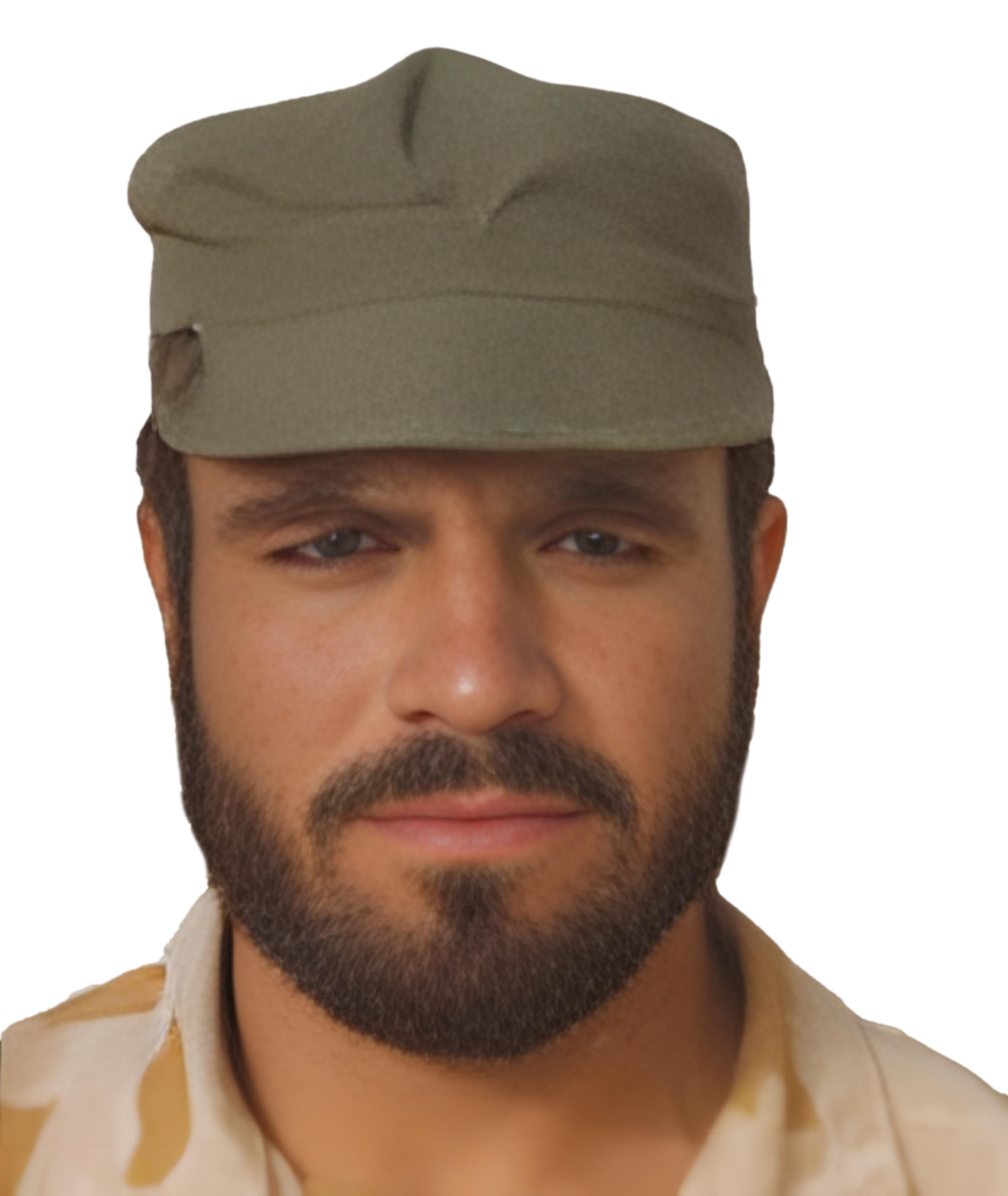 علی میرزا اسکندری