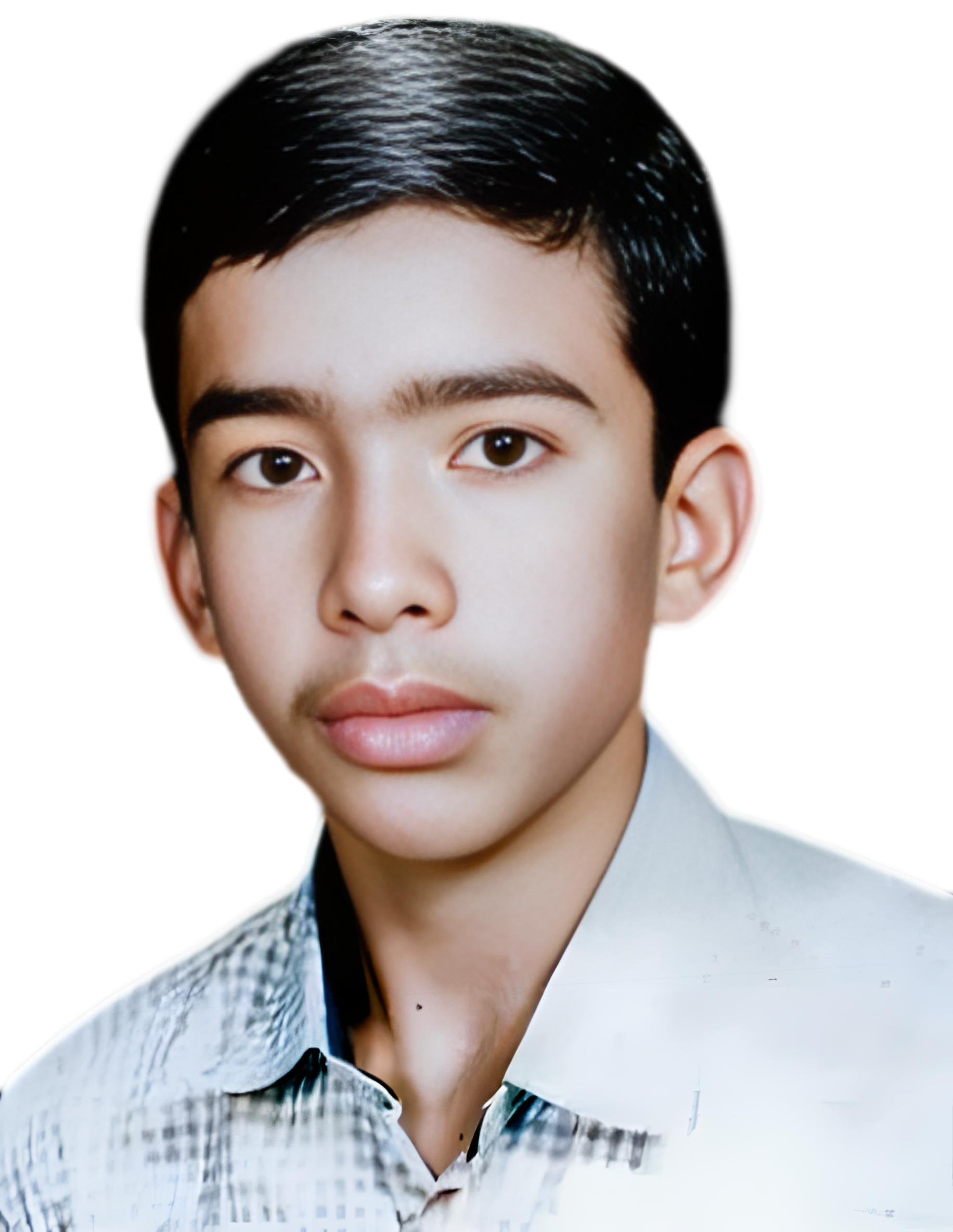 محمد افخمی فتح آباد