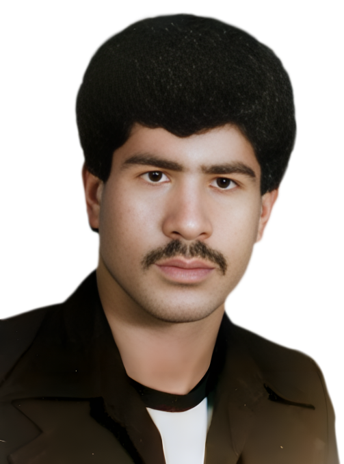 محمدرضا افسرده