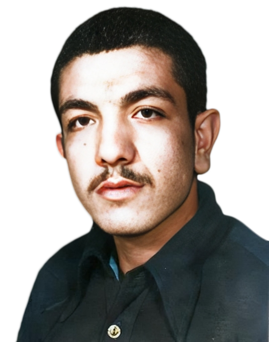 محمدرضا افسرده