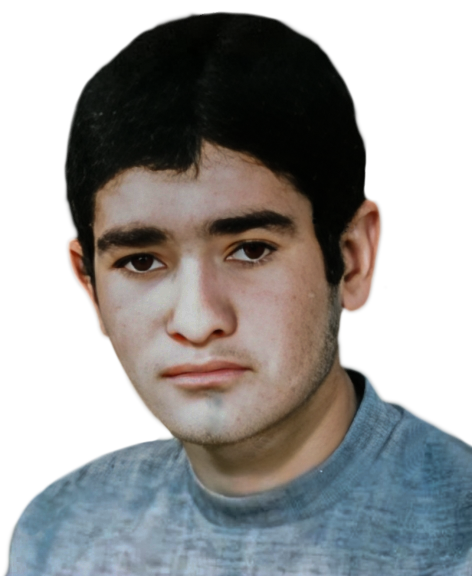 اسکندر افگانه