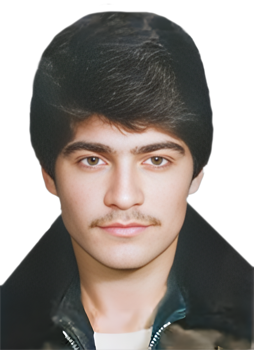 سیدمنوچهر الهیاری (الله یاری) امیرسالاری