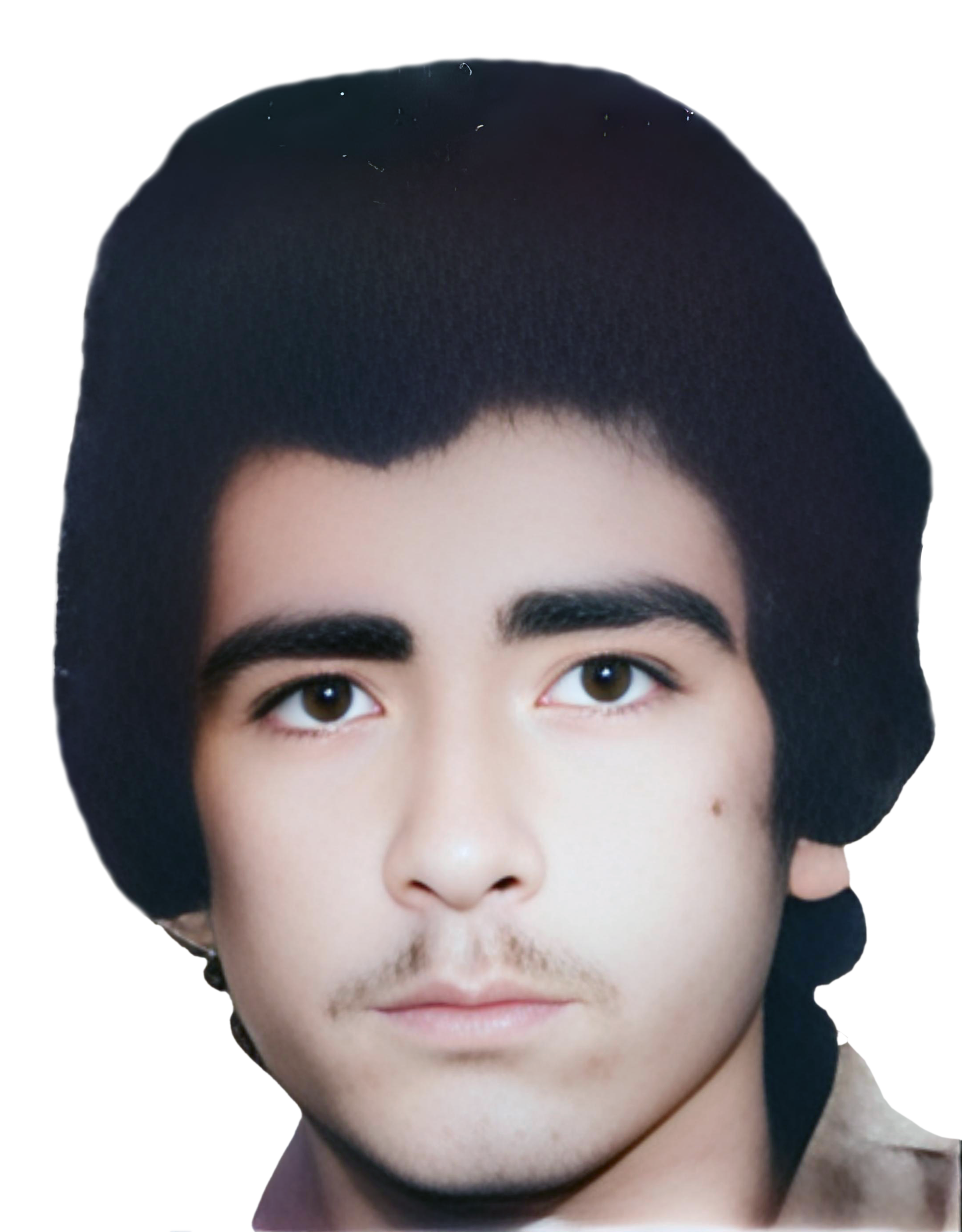 داراب امینی