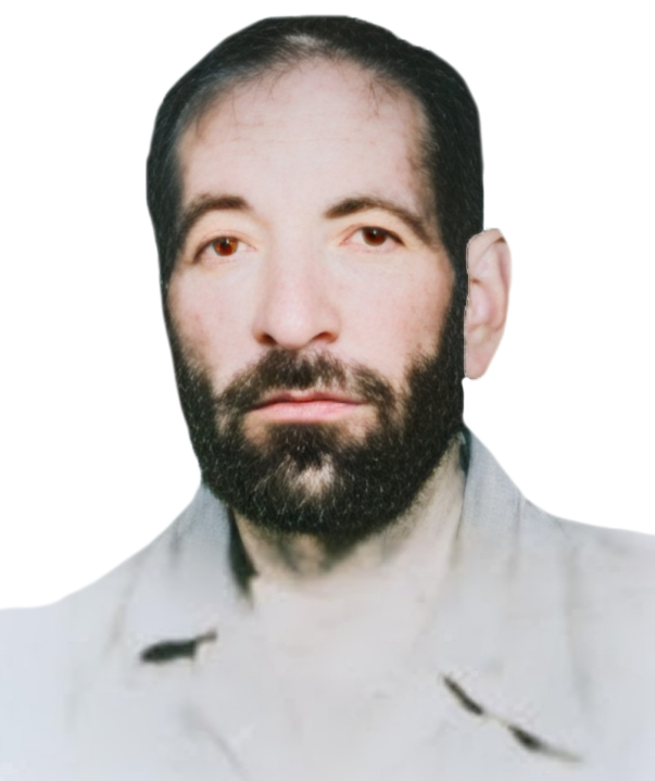 علی مراد امینی