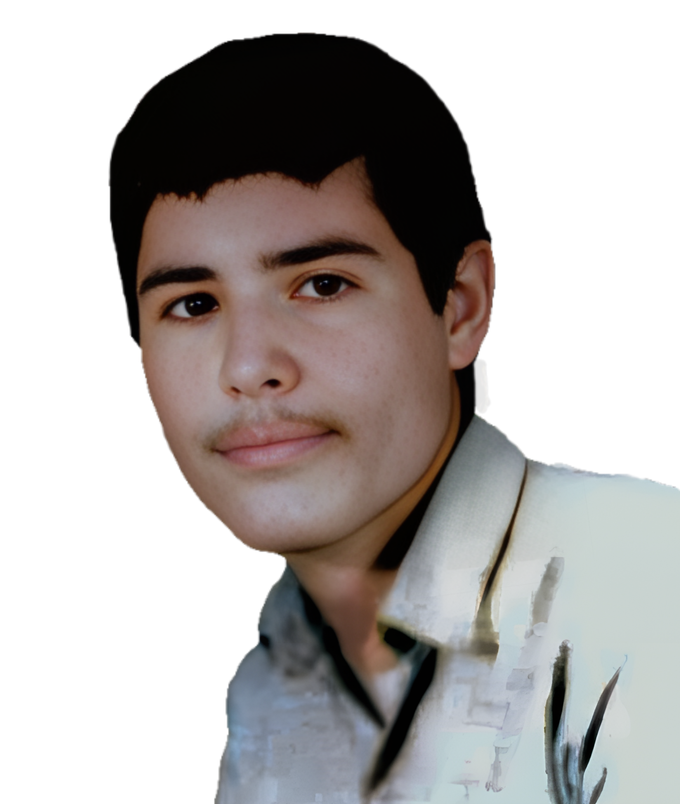 غلام رضا امینی