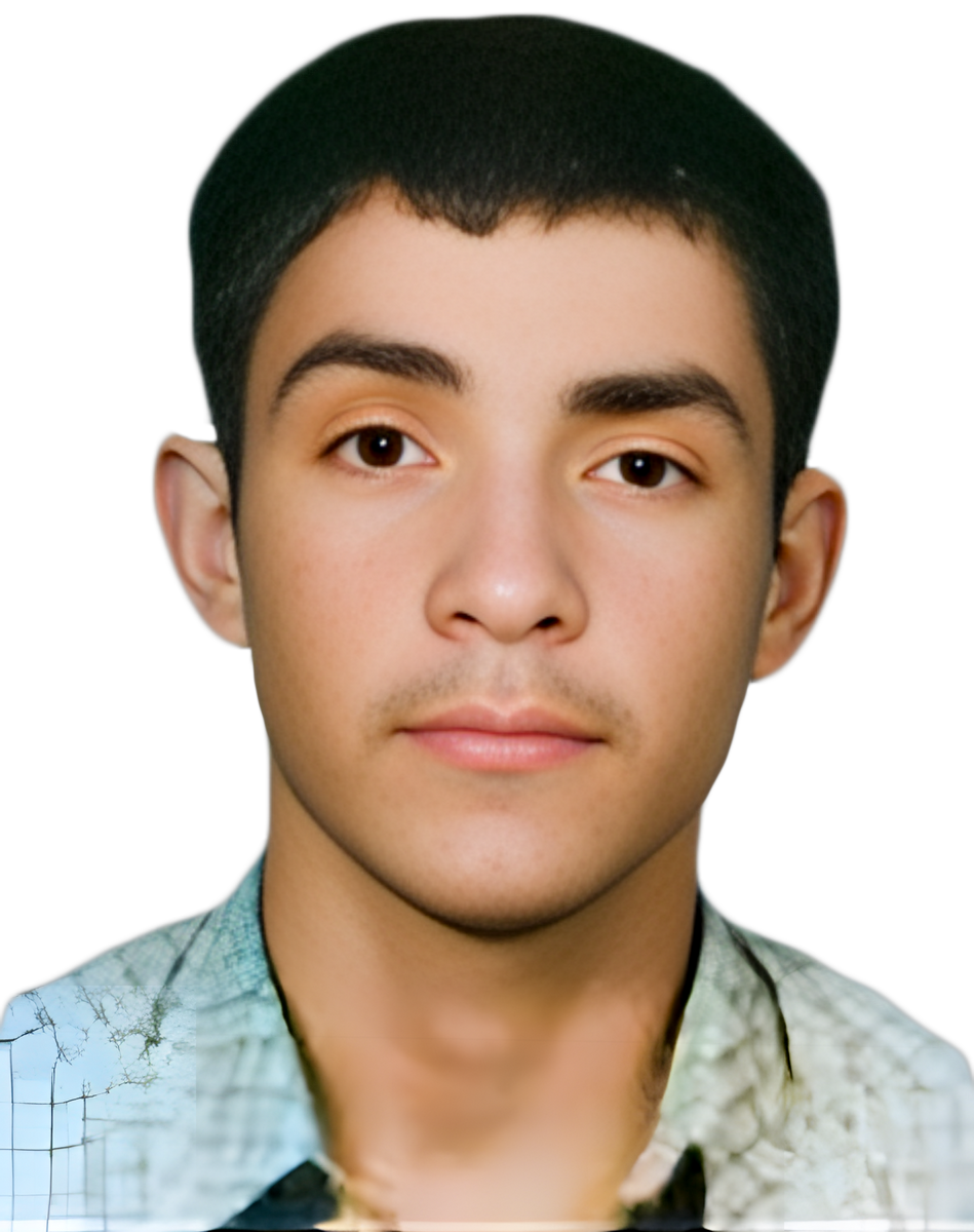 غلام رضا امینی