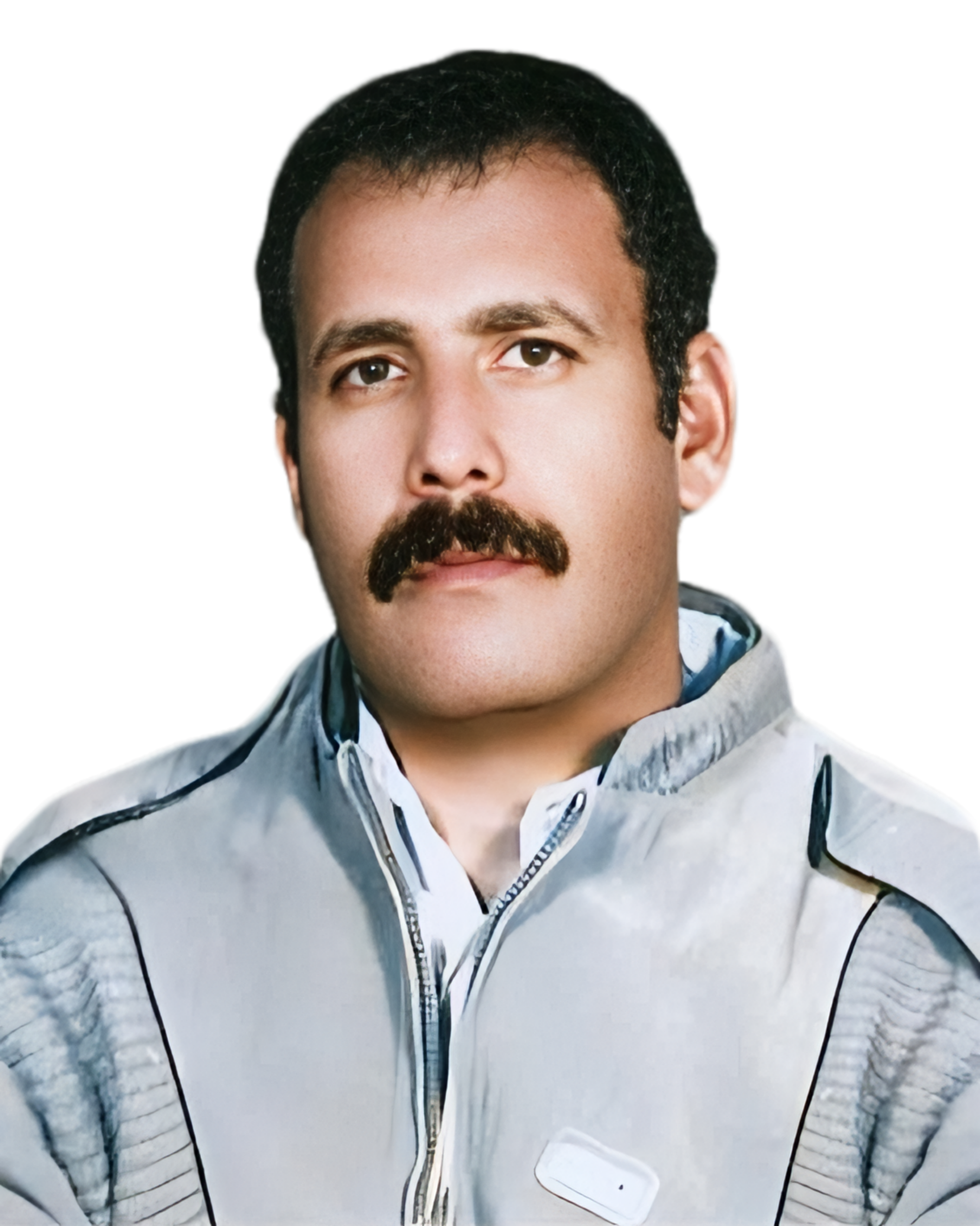 سیدکامل انصاری