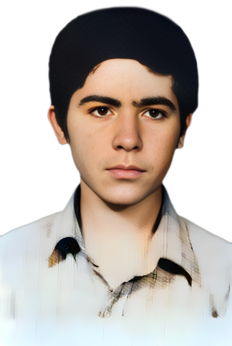 عطاء اله انصاری