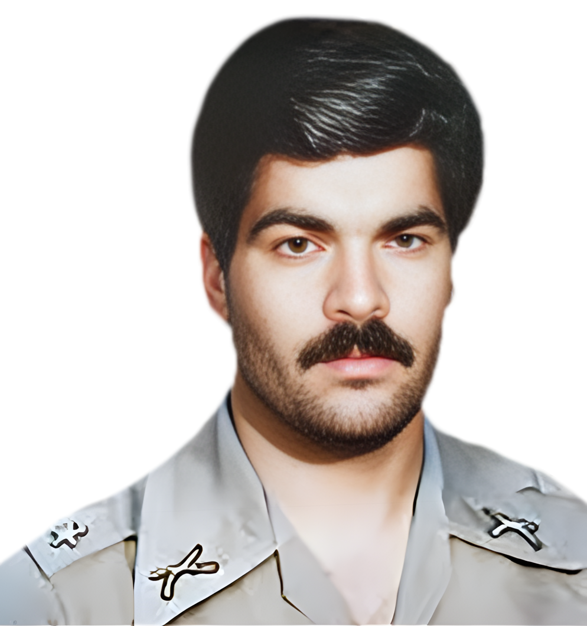 محمدرضا انصاری