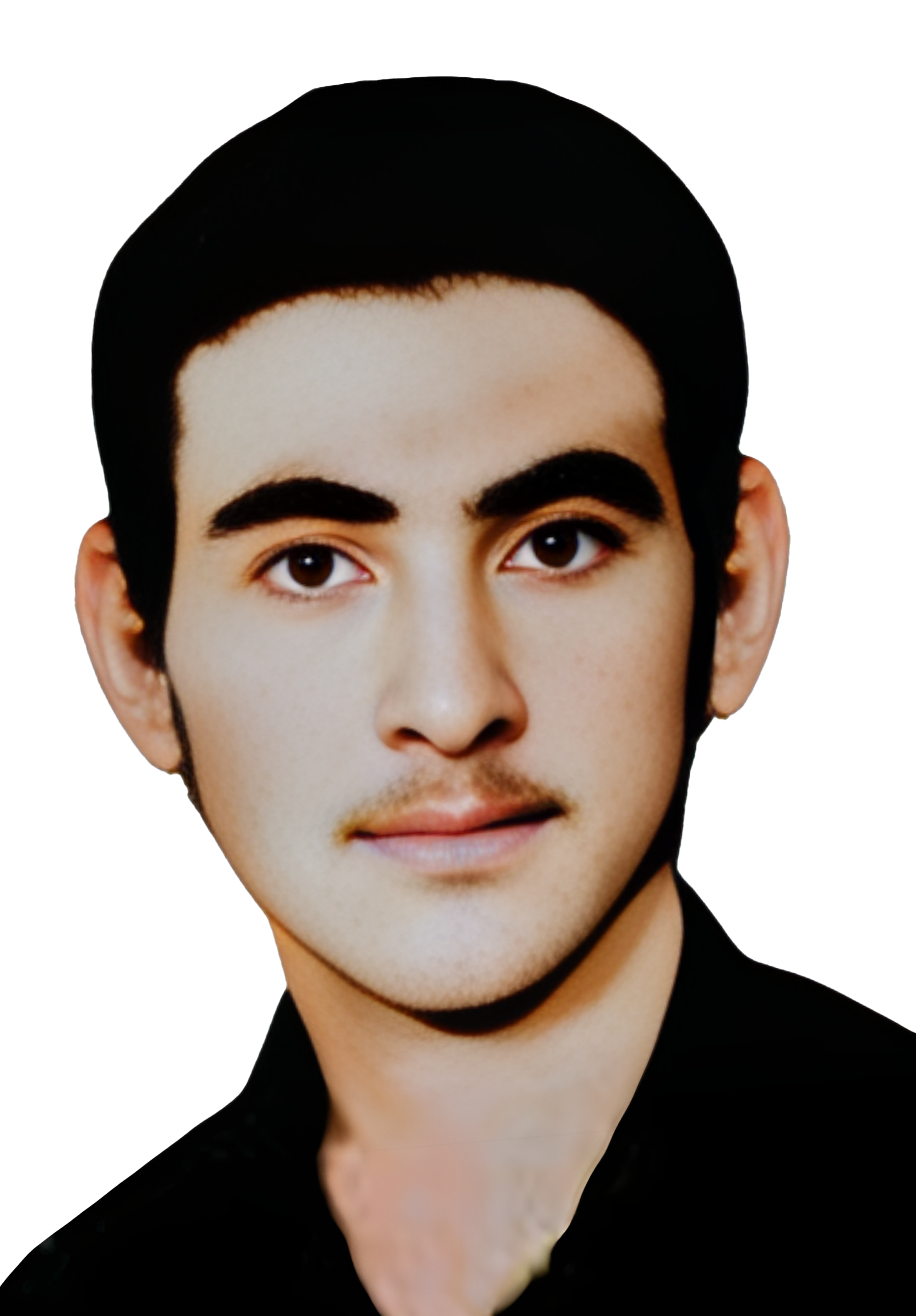 علی ضامن اولاد