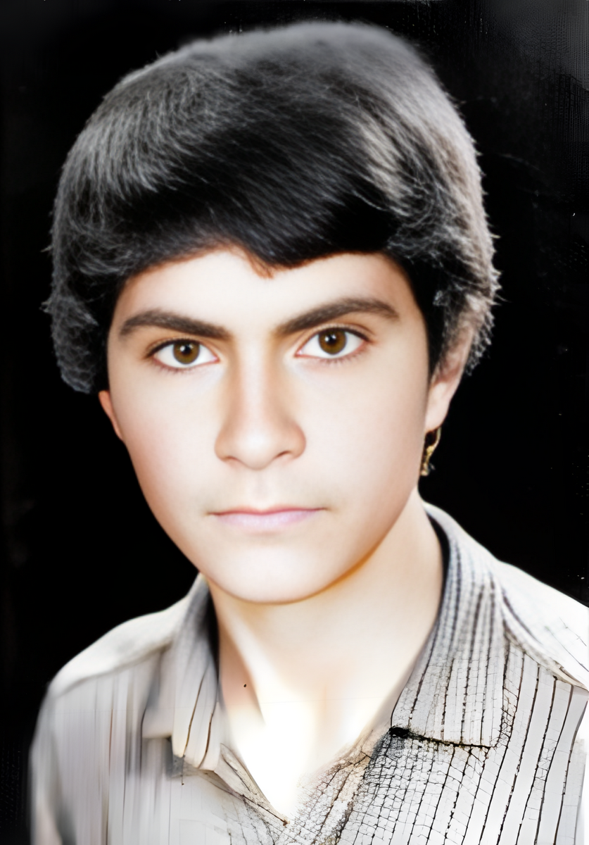 ذبیح اله بابایی طالب بیگی