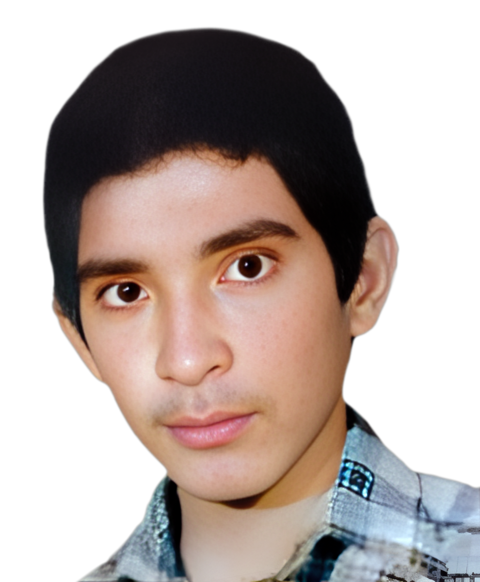 سیدضیاءالدین بحرانی