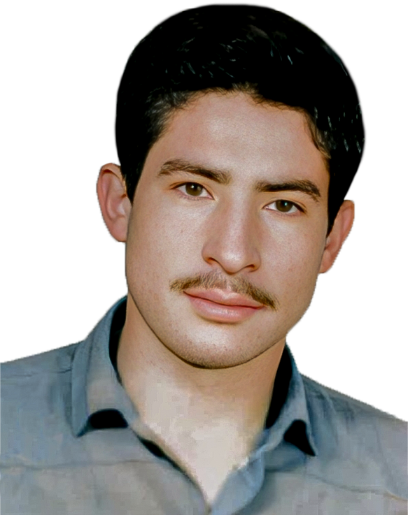 مهرداد بذرگردیندارلو