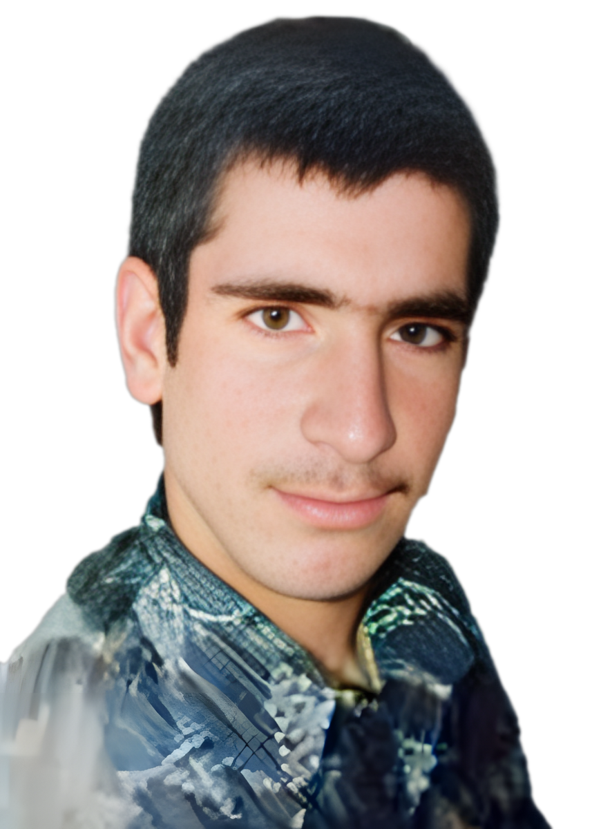 محمود برهمند