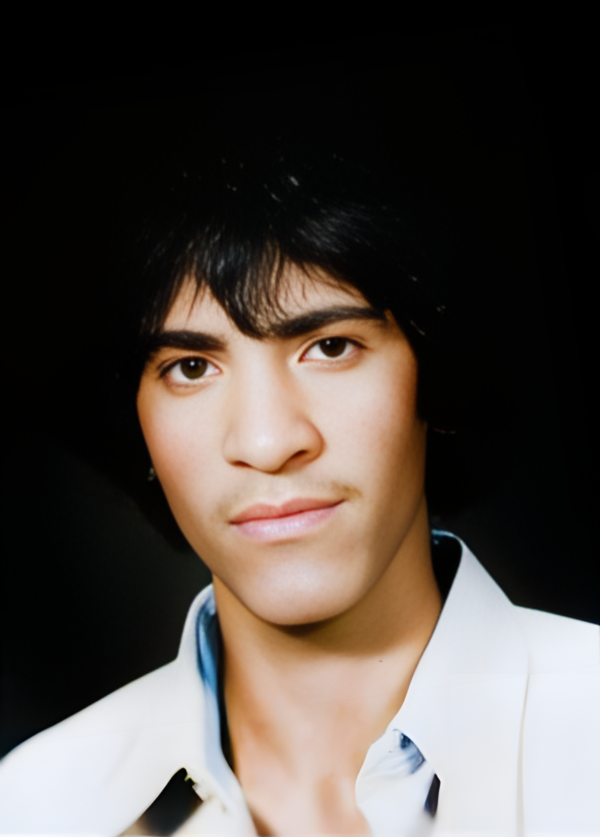 بهادر بهمنی