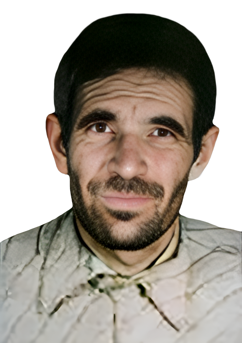 علی رضا بیگی