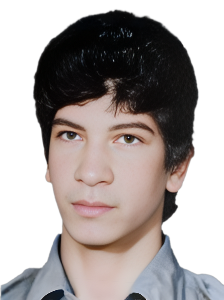 سردار پدیدار