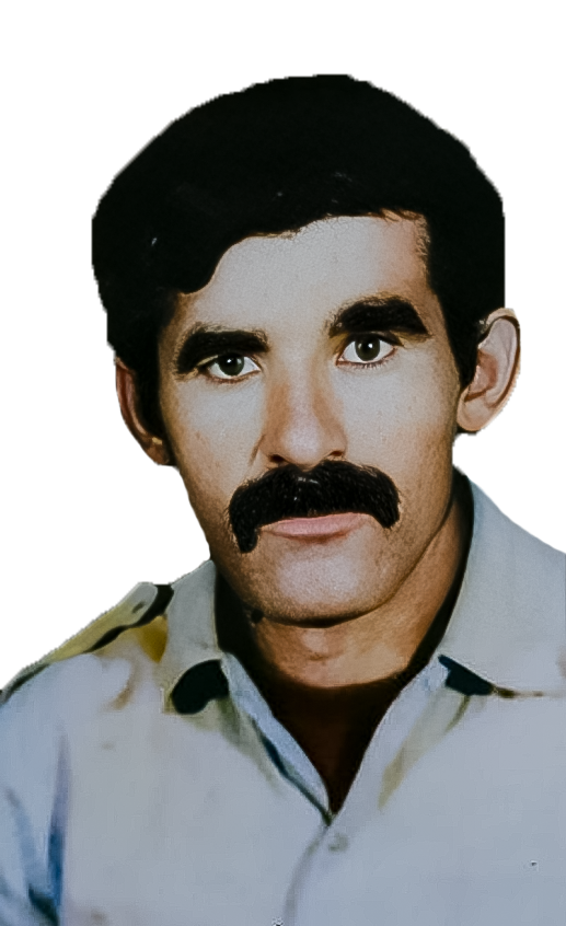 سبزعلی پکوک