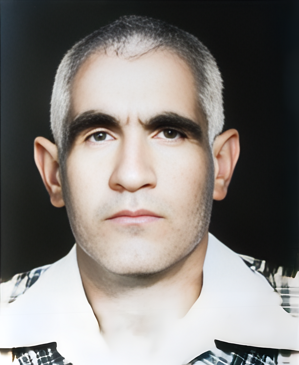 سردار پولادی