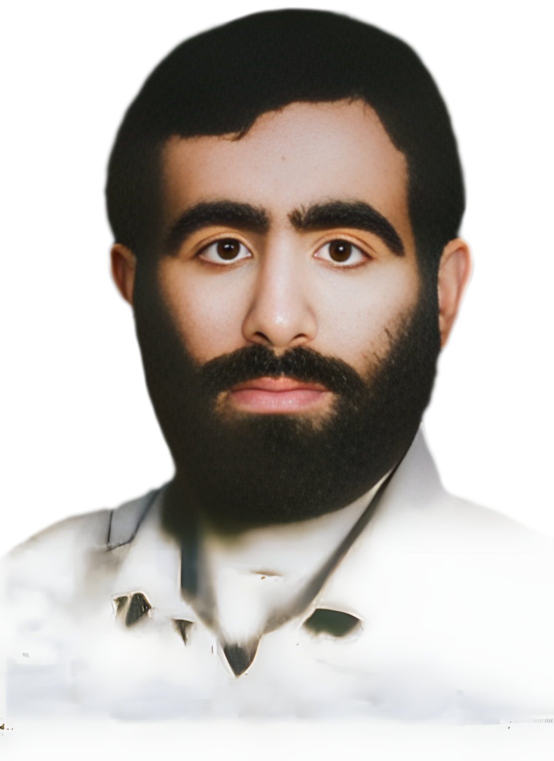 امامعلی (تیره) شنبدی فرد