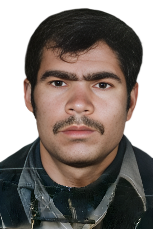 محمدحسین ثبوت