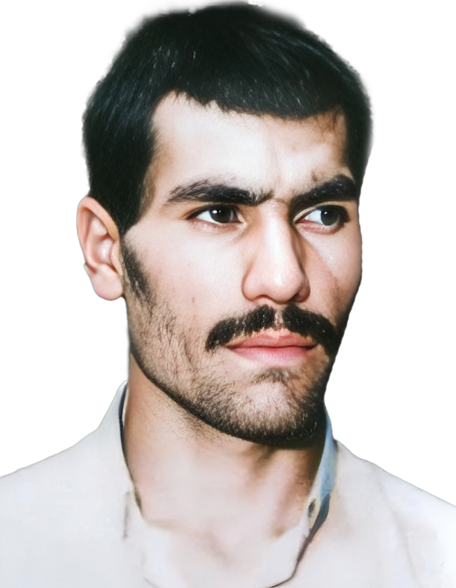 حسن جمال آبادی