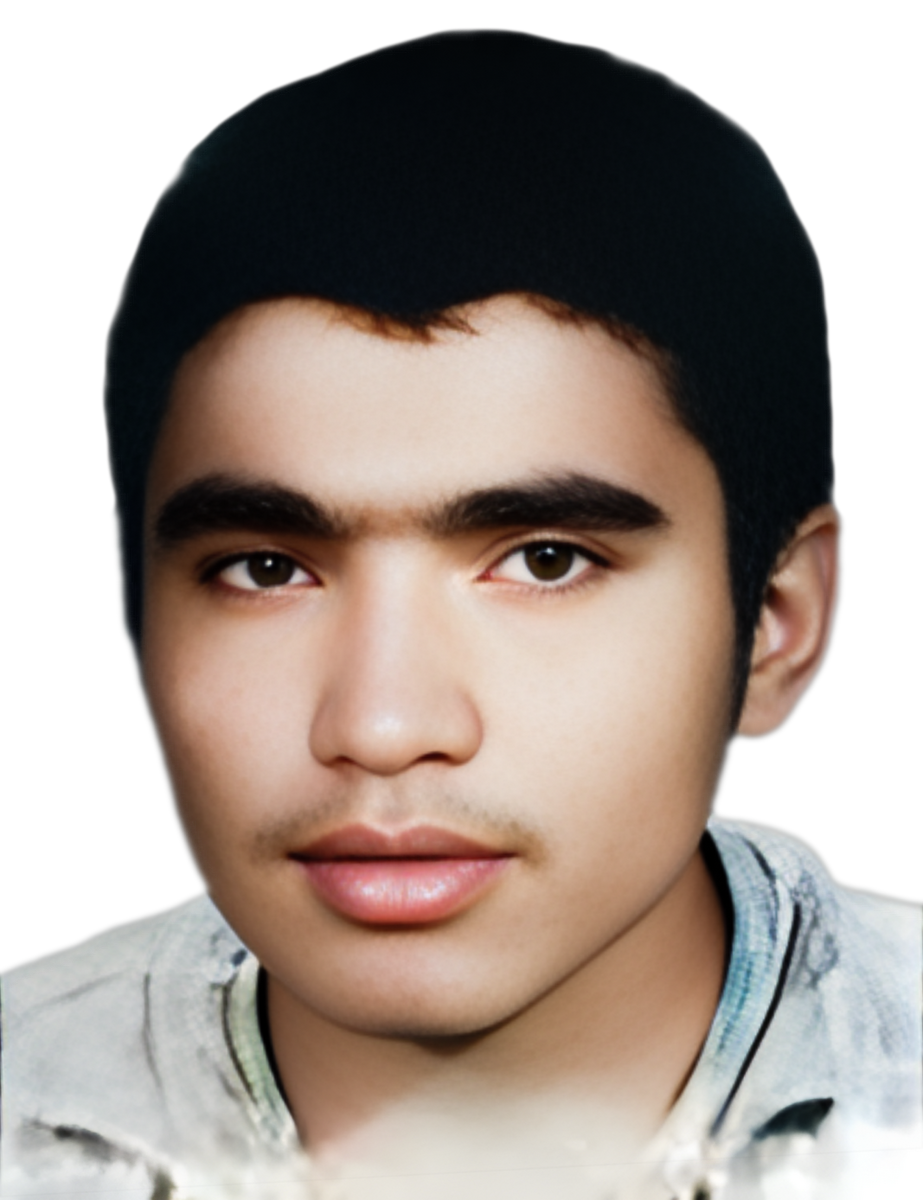 بهزاد جمالی