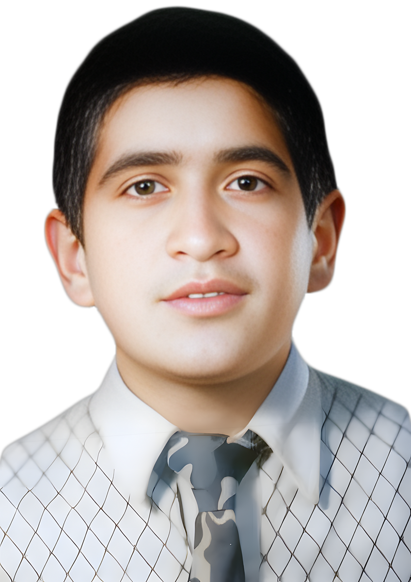 محمدحسین جمشیدی سلوکلو