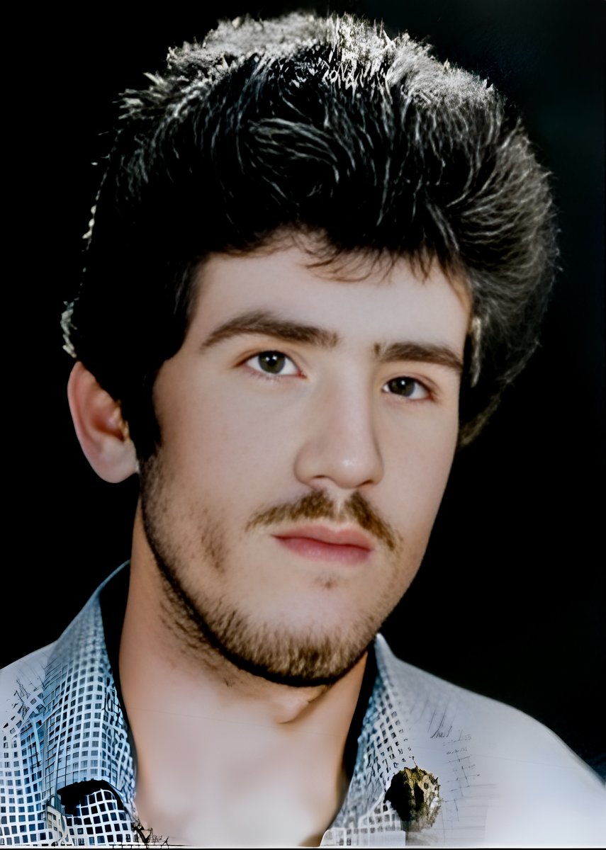 علی محمد جوکاردریسی