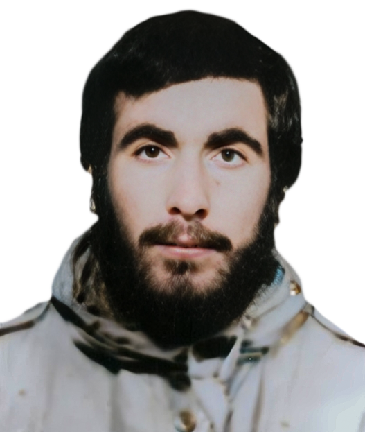 محمود چابکی