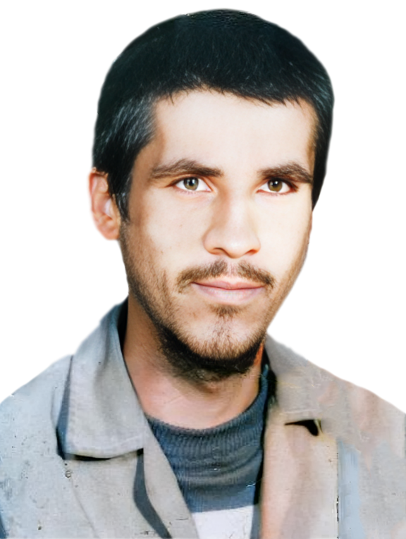 غلامرضا چرخ دولابی