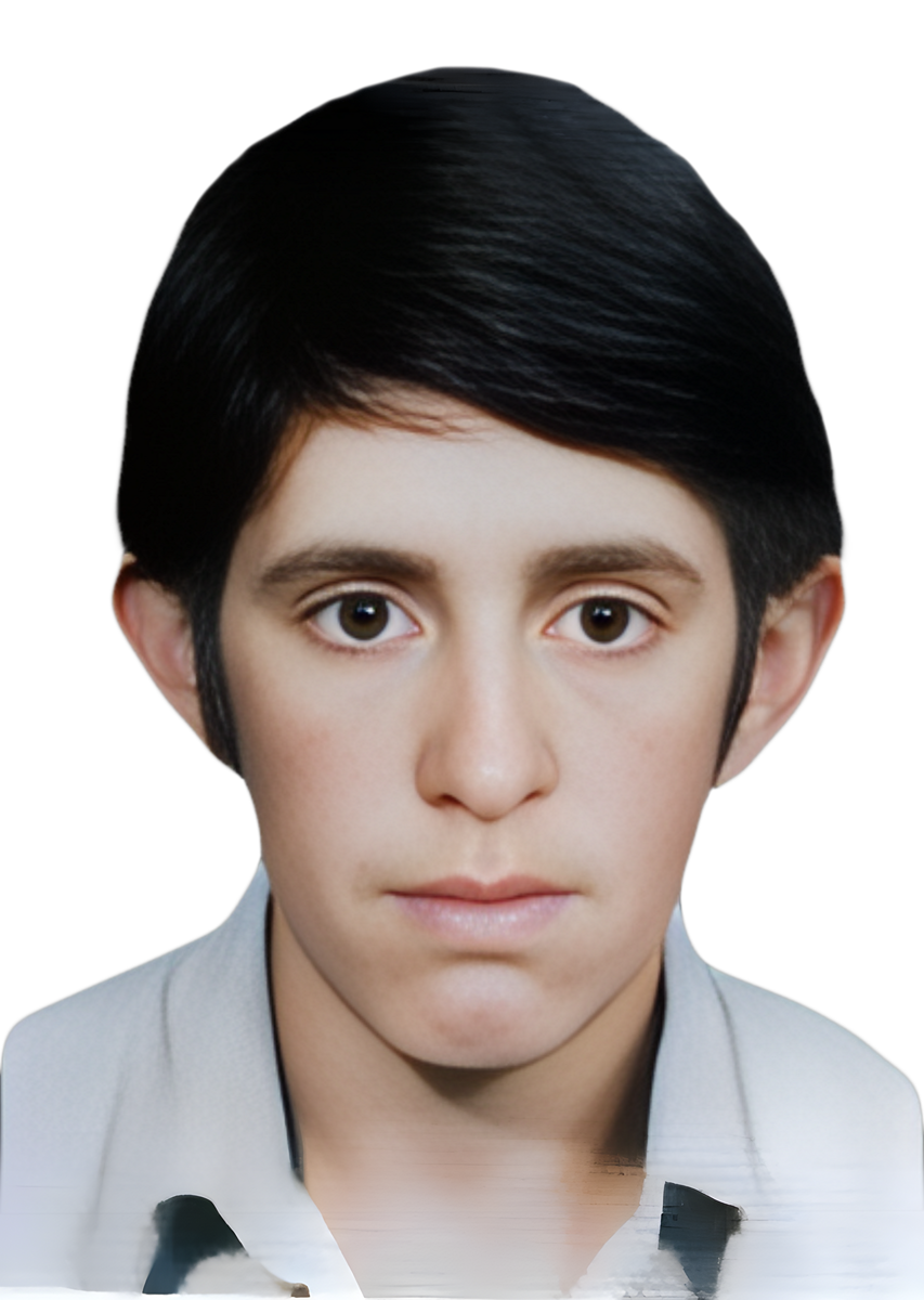 محمدرضا حامی